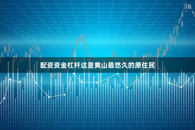 配资资金杠杆这是黄山最悠久的原住民