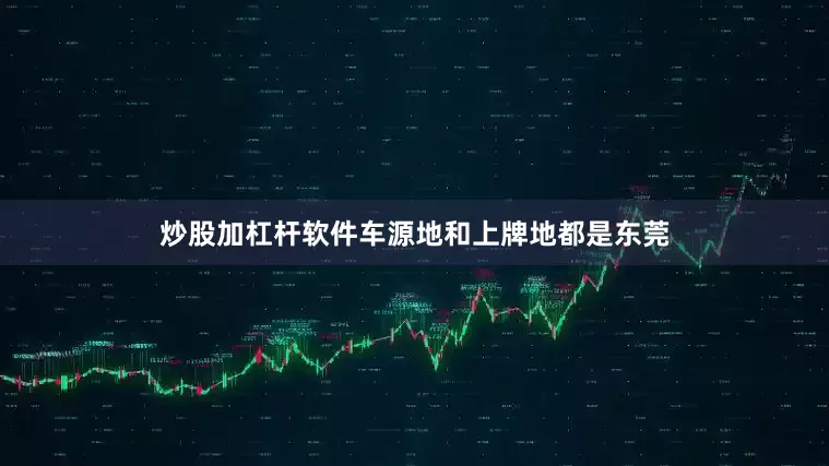 炒股加杠杆软件车源地和上牌地都是东莞